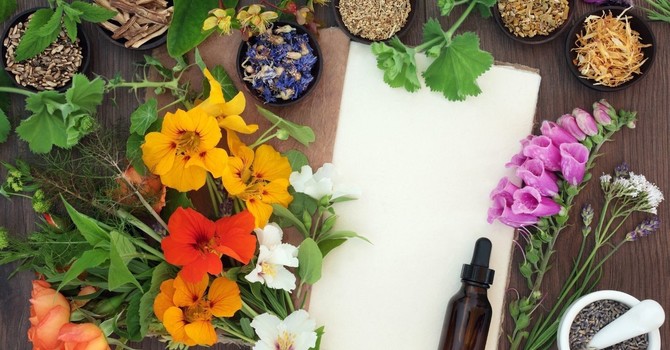 How to Boost Your Immune System Naturally with a Naturopathic Doctor image